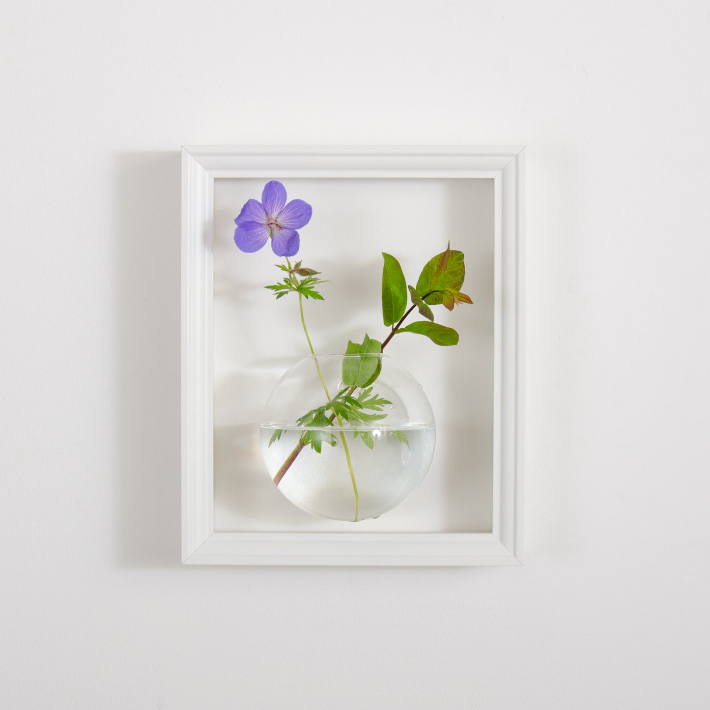 Flower vase display frame