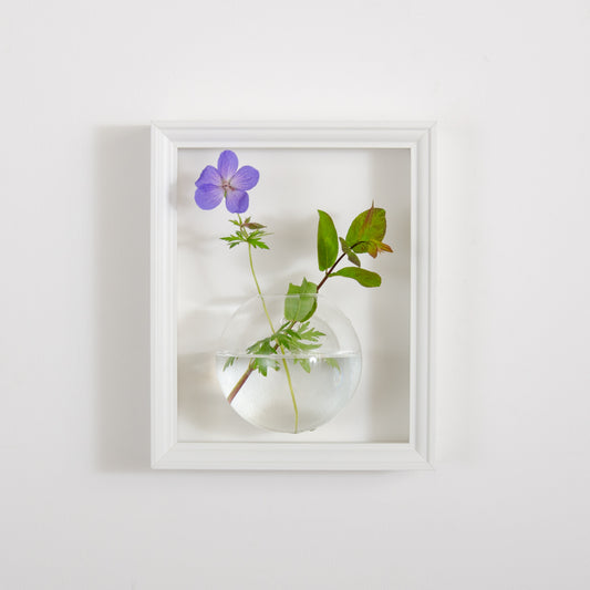 Flower vase display frame