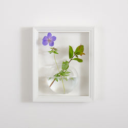 NEW! Flower vase display frame