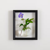 NEW! Flower vase display frame