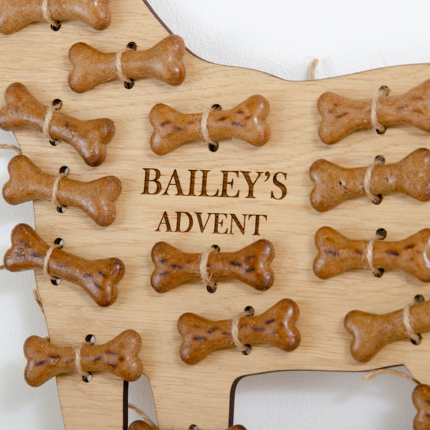 Spaniel advent calendar