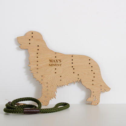 Golden Retriever advent calendar